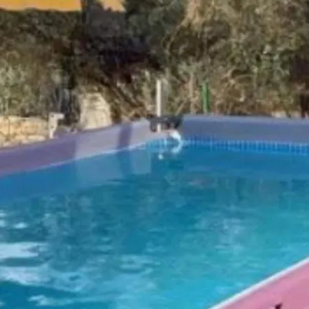 Dom wakacyjny Village Paradise *
