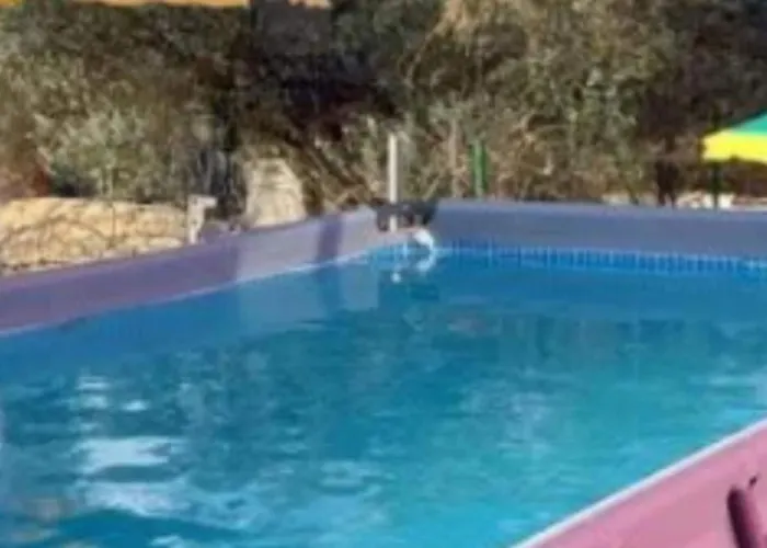 펜션 Village Paradise *