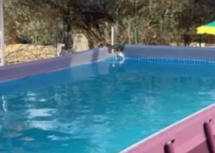 Village Paradise 펜션 Kalapac